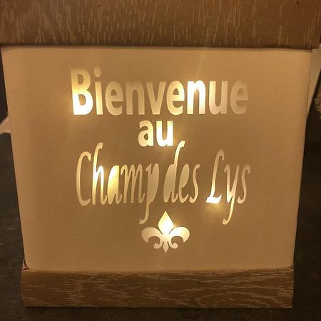 Le Champ Des Lys Hotel Amancey Екстериор снимка