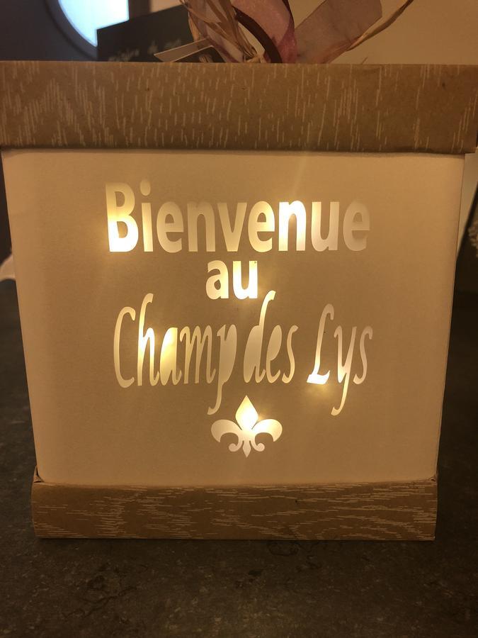 Le Champ Des Lys Hotel Amancey Екстериор снимка